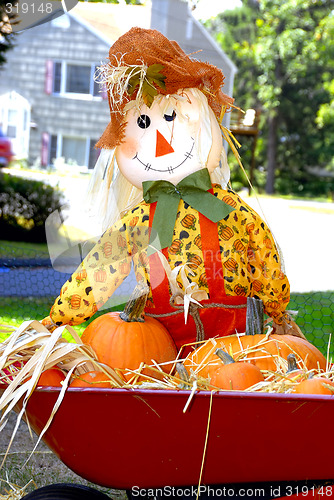 Image of Scarecrow
