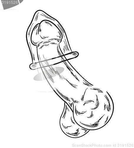 Image of penis with condom sketch