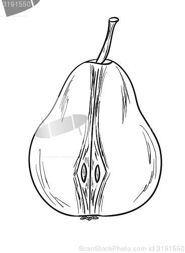 Image of pear sketch