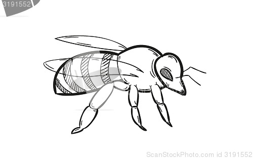 Image of one bee