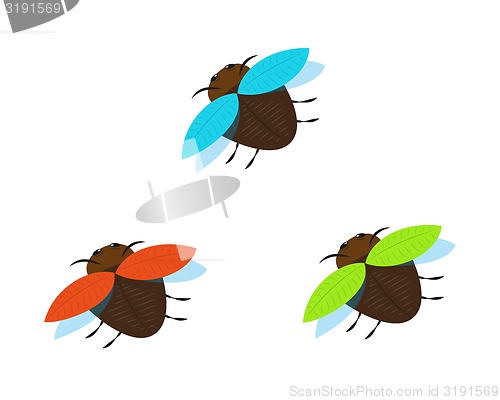 Image of three brown bugs with different color wings