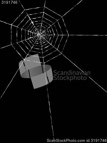 Image of spider web