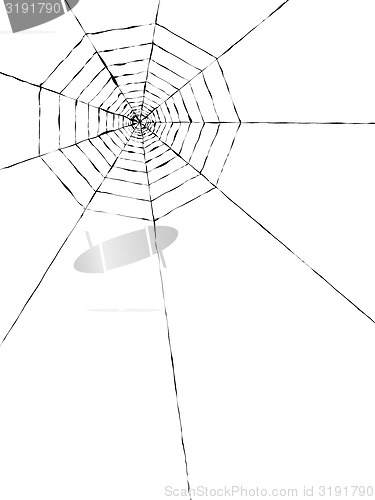 Image of spider web