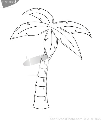 Image of sketch of the palm tree