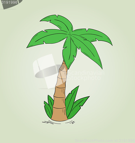 Image of sketch of the palm tree