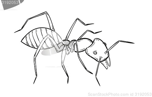 Image of sketch of the ant