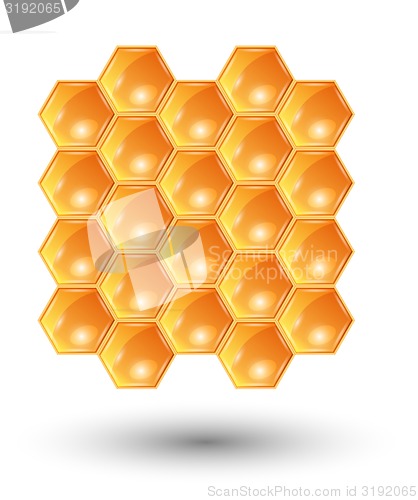 Image of honeycomb