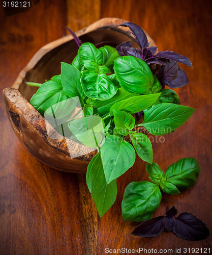 Image of Different basil sorts