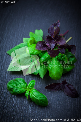 Image of Variation of basil