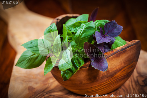 Image of Different basil sorts