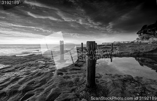 Image of Ivo Rowe Rockpool Coogee Australia