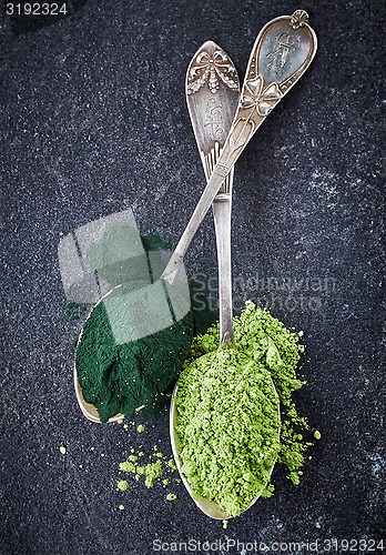 Image of two spoons of spirulina algae and wheat sprouts powder