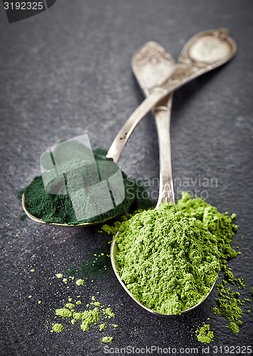 Image of two spoons of spirulina algae and wheat sprouts powder