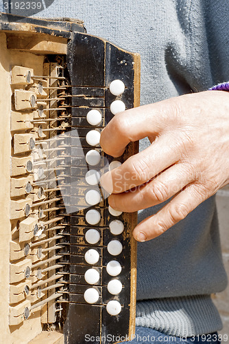 Image of man playing concertina