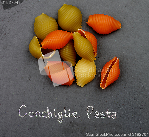 Image of Conchiglie Tricolore Pasta