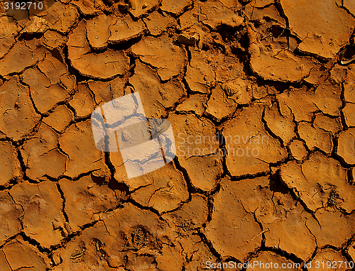 Image of Desert Earth
