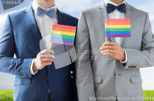 Image of close up of male gay couple holding rainbow flags