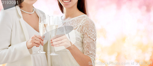 Image of close up of lesbian couple with champagne glasses