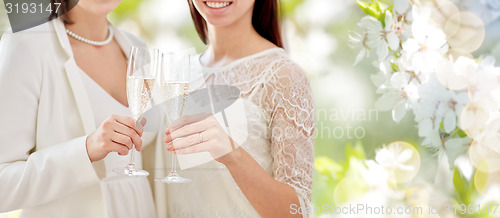 Image of close up of lesbian couple with champagne glasses