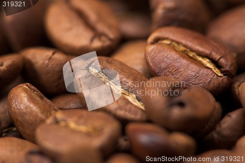 Image of Coffee beans