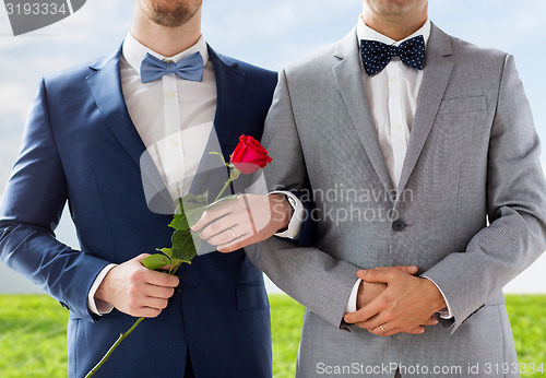 Image of close up of happy male gay couple holding hands