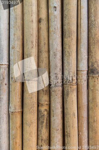 Image of bamboo cane wall texture