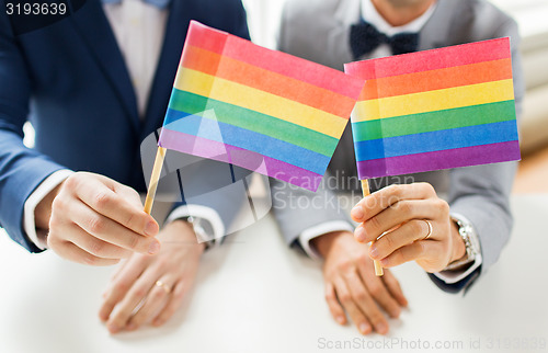 Image of close up of male gay couple holding rainbow flags