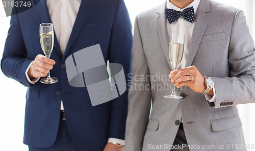 Image of close up of male gay couple with champagne glasses