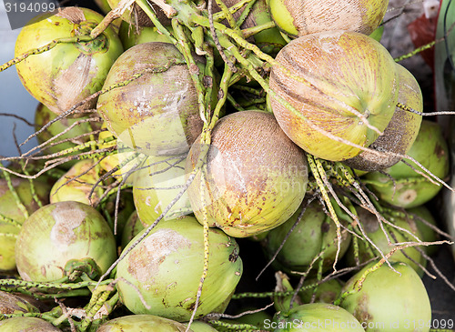 Image of water coconuts bunch