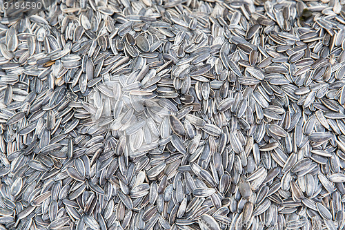 Image of sunflower seeds texture