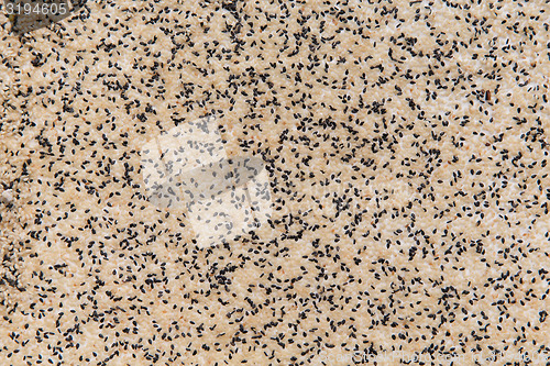 Image of sesame seeds texture