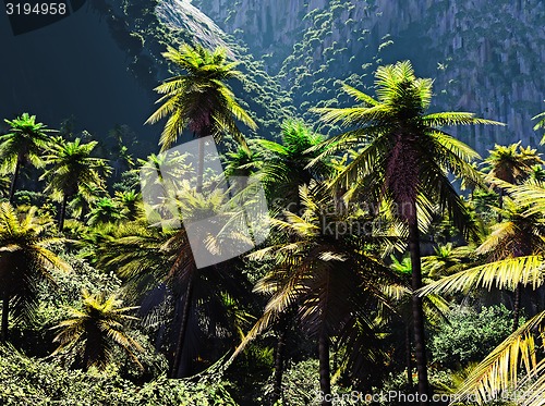 Image of Beautiful palm trees