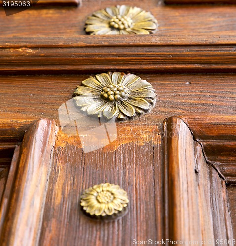 Image of abstract  rusty brass brown knocker gallarate varese 