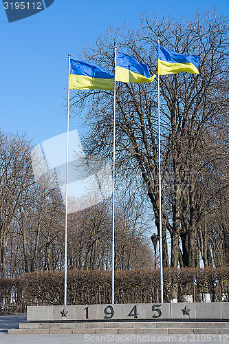 Image of Flag of Ukraine.