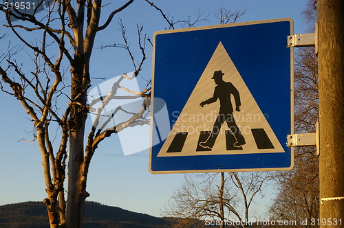 Image of Pedestrian crossing