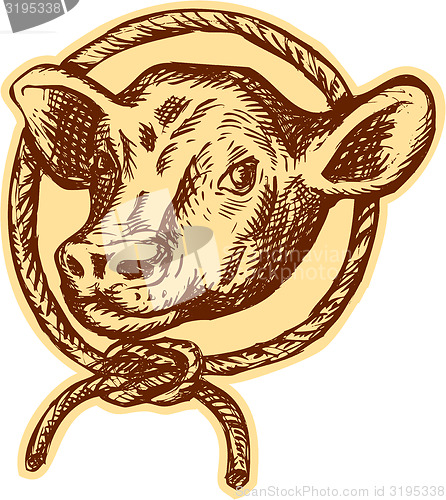 Image of Cow Bull Head Rope Circle Etching