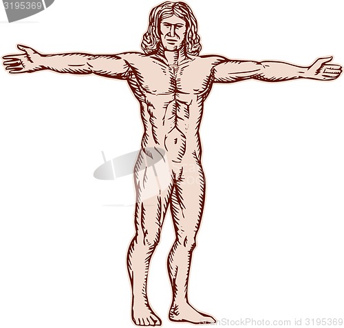 Image of Vitruvian Man Arms Spread Front Etching