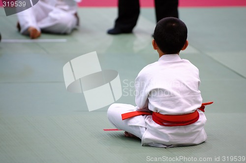 Image of Karate kids