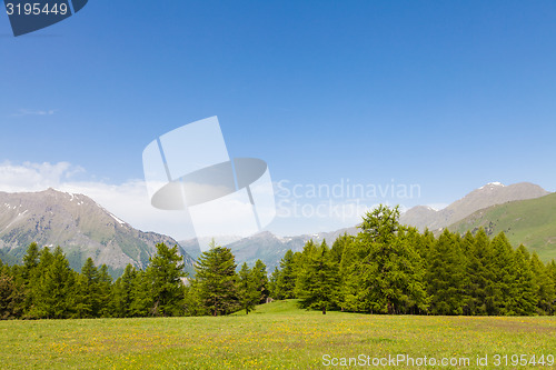 Image of Italian Alps