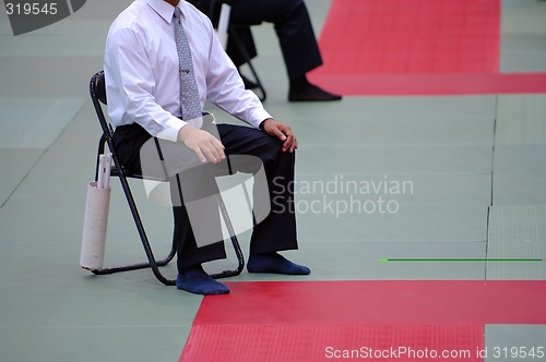 Image of Karate referee