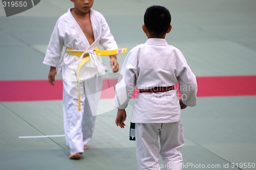 Image of Karate kids