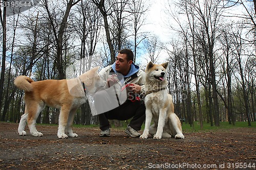 Image of Dogs in the forest