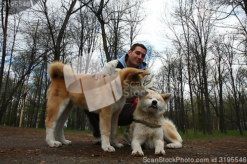 Image of Dogs in public park