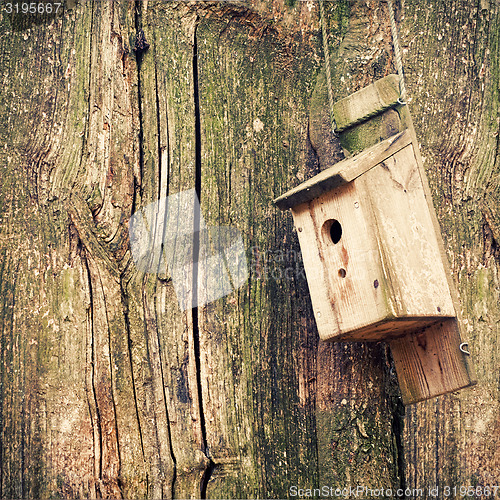 Image of Nesting Box on a tree