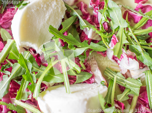 Image of Lettuce salad