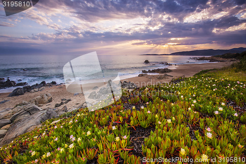 Image of Coastal landscape on Corse, France, Europe.