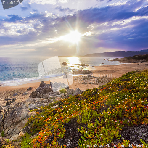 Image of Coastal landscape on Corse, France, Europe.