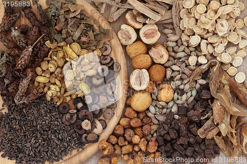 Image of Chinese Herbs