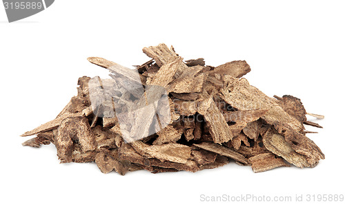 Image of Costus Root 