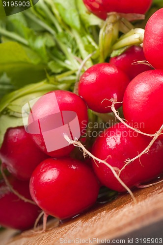 Image of Radishes on wooden background